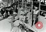 Immagine di British egiziano forza expeditionary Il Cairo Egitto, 1917, secondo 27 filmato di repertorio 65675029250