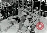 Immagine di British egiziano forza expeditionary Il Cairo Egitto, 1917, secondo 28 filmato di repertorio 65675029250