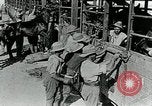 Immagine di British egiziano forza expeditionary Il Cairo Egitto, 1917, secondo 29 filmato di repertorio 65675029250