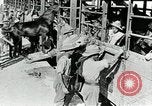 Immagine di British egiziano forza expeditionary Il Cairo Egitto, 1917, secondo 30 filmato di repertorio 65675029250