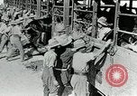 Immagine di British egiziano forza expeditionary Il Cairo Egitto, 1917, secondo 31 filmato di repertorio 65675029250