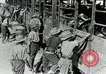 Immagine di British egiziano forza expeditionary Il Cairo Egitto, 1917, secondo 33 filmato di repertorio 65675029250