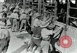 Immagine di British egiziano forza expeditionary Il Cairo Egitto, 1917, secondo 35 filmato di repertorio 65675029250