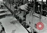 Immagine di British egiziano forza expeditionary Il Cairo Egitto, 1917, secondo 44 filmato di repertorio 65675029250