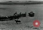 Image of British cavalry in training maneuvers Cairo Egypt, 1917, second 34 stock footage video 65675029251