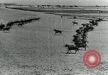 Image of British cavalry in training maneuvers Cairo Egypt, 1917, second 39 stock footage video 65675029251