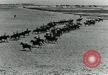 Image of British cavalry in training maneuvers Cairo Egypt, 1917, second 41 stock footage video 65675029251