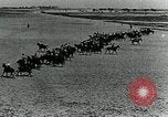 Image of British cavalry in training maneuvers Cairo Egypt, 1917, second 42 stock footage video 65675029251