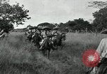 Image of Mexican Federal cavalry and army forces march on plains Veracruz Mexico, 1914, second 14 stock footage video 65675029261