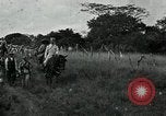 Image of Mexican Federal cavalry and army forces march on plains Veracruz Mexico, 1914, second 60 stock footage video 65675029261