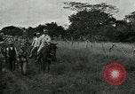 Image of Mexican Federal cavalry and army forces march on plains Veracruz Mexico, 1914, second 61 stock footage video 65675029261