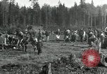 Image of Russian women work removing stumps Archangel Russia, 1918, second 3 stock footage video 65675029280