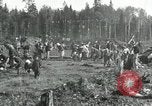 Image of Russian women work removing stumps Archangel Russia, 1918, second 5 stock footage video 65675029280