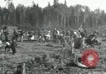 Image of Russian women work removing stumps Archangel Russia, 1918, second 6 stock footage video 65675029280