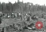 Image of Russian women work removing stumps Archangel Russia, 1918, second 7 stock footage video 65675029280