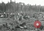 Image of Russian women work removing stumps Archangel Russia, 1918, second 8 stock footage video 65675029280