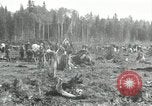 Image of Russian women work removing stumps Archangel Russia, 1918, second 9 stock footage video 65675029280
