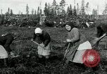 Image of Russian women work removing stumps Archangel Russia, 1918, second 10 stock footage video 65675029280