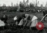 Image of Russian women work removing stumps Archangel Russia, 1918, second 12 stock footage video 65675029280