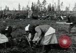Image of Russian women work removing stumps Archangel Russia, 1918, second 13 stock footage video 65675029280