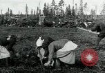 Image of Russian women work removing stumps Archangel Russia, 1918, second 14 stock footage video 65675029280