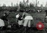 Image of Russian women work removing stumps Archangel Russia, 1918, second 16 stock footage video 65675029280