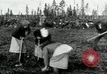 Image of Russian women work removing stumps Archangel Russia, 1918, second 20 stock footage video 65675029280