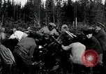 Image of Russian women work removing stumps Archangel Russia, 1918, second 21 stock footage video 65675029280