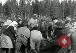 Image of Russian women work removing stumps Archangel Russia, 1918, second 28 stock footage video 65675029280
