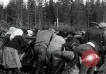 Image of Russian women work removing stumps Archangel Russia, 1918, second 32 stock footage video 65675029280