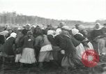 Image of Russian women work removing stumps Archangel Russia, 1918, second 42 stock footage video 65675029280