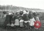 Image of Russian women work removing stumps Archangel Russia, 1918, second 44 stock footage video 65675029280