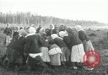 Image of Russian women work removing stumps Archangel Russia, 1918, second 45 stock footage video 65675029280