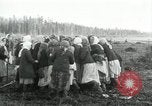 Image of Russian women work removing stumps Archangel Russia, 1918, second 51 stock footage video 65675029280