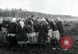 Image of Russian women work removing stumps Archangel Russia, 1918, second 53 stock footage video 65675029280