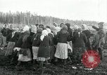 Image of Russian women work removing stumps Archangel Russia, 1918, second 54 stock footage video 65675029280