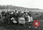 Image of Russian women work removing stumps Archangel Russia, 1918, second 57 stock footage video 65675029280