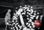 Image of bodies of unknown soldiers Washington DC USA, 1958, second 33 stock footage video 65675029300