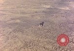 Image of shoreline Iwo Jima, 1945, second 27 stock footage video 65675029313