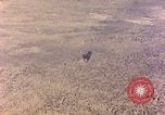 Image of shoreline Iwo Jima, 1945, second 28 stock footage video 65675029313