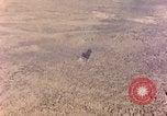 Image of shoreline Iwo Jima, 1945, second 29 stock footage video 65675029313