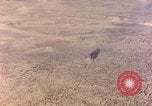 Image of shoreline Iwo Jima, 1945, second 32 stock footage video 65675029313