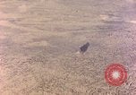 Image of shoreline Iwo Jima, 1945, second 33 stock footage video 65675029313
