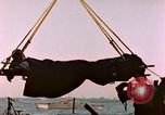 Image of Iwo Jima wounded hoisted onto LST Iwo Jima, 1945, second 26 stock footage video 65675029321