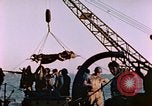 Image of Iwo Jima wounded hoisted onto LST Iwo Jima, 1945, second 45 stock footage video 65675029321