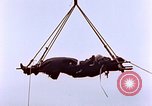 Image of Wounded Marines of Iwo Jima Iwo Jima, 1945, second 14 stock footage video 65675029323
