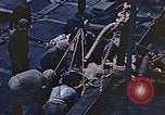 Image of Wounded Marines of Iwo Jima Iwo Jima, 1945, second 31 stock footage video 65675029323