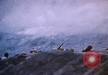 Immagine di Il sollevamento della bandiera americana di Iwo Jima Iwo Jima, 1945, secondo 58 filmato di repertorio 65675029325