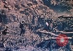 Standbild Flammenwerfer Iwo Jima, 1945, aus Sekunde 16 historischem Filmmaterial Videoclip 65675029327