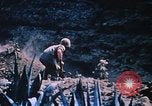 Standbild Flammenwerfer Iwo Jima, 1945, aus Sekunde 31 historischem Filmmaterial Videoclip 65675029327